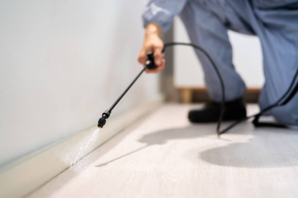 Licensed Mosquito Control service in Wellington, TX - Show Me Pest Control