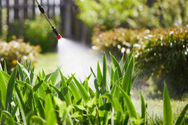 24/7 Emergency Mosquito Control experts in Wellington, TX