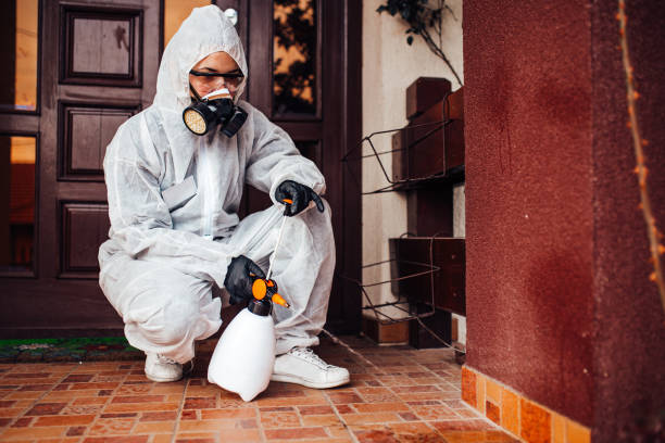 Reliable Mosquito Control contractor in Wellington, TX by Show Me Pest Control